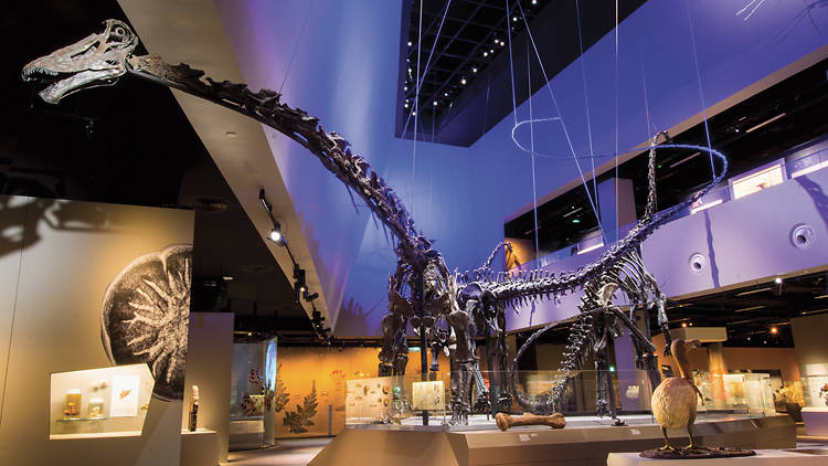 Enter the Lost World at the Lee Kong Chian Natural History Museum