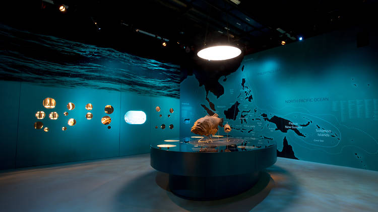 Lee Kong Chian Natural History Museum