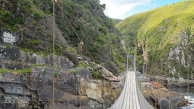 Take a road trip along the Garden Route