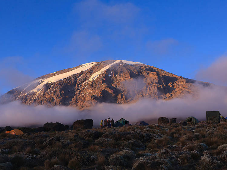 Climb Mount Kilimanjaro