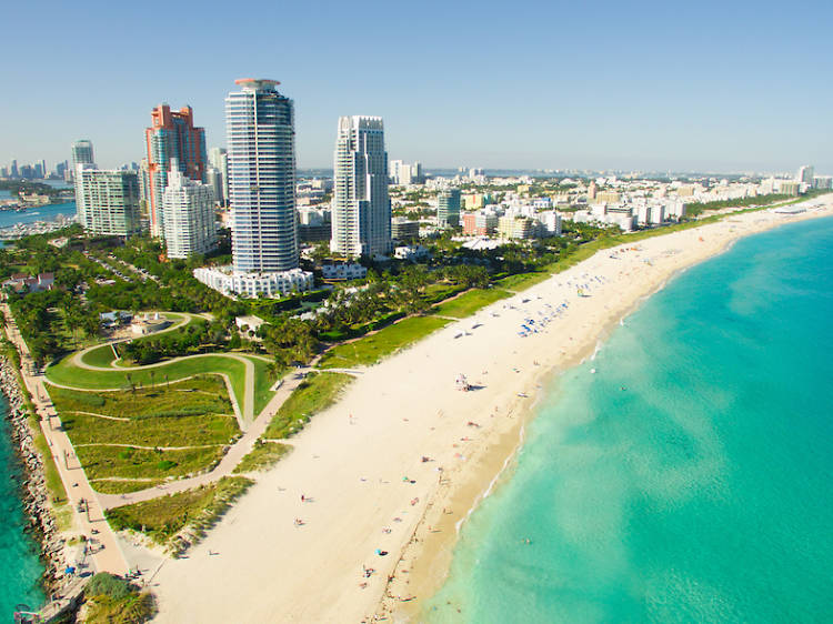 The 8 best beachfront Airbnbs in Miami The 8 best beachfront Airbnbs in Miami