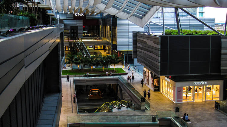 Last-minute shopping near PortMiami