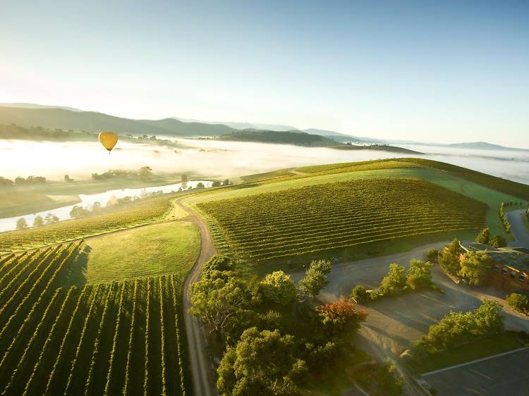 Take a day trip to the Yarra Valley