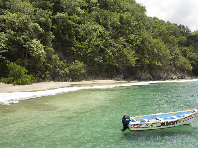 Take a cruise to Cotton Bay