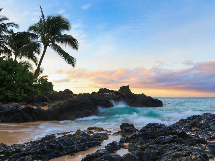 Maui Maui