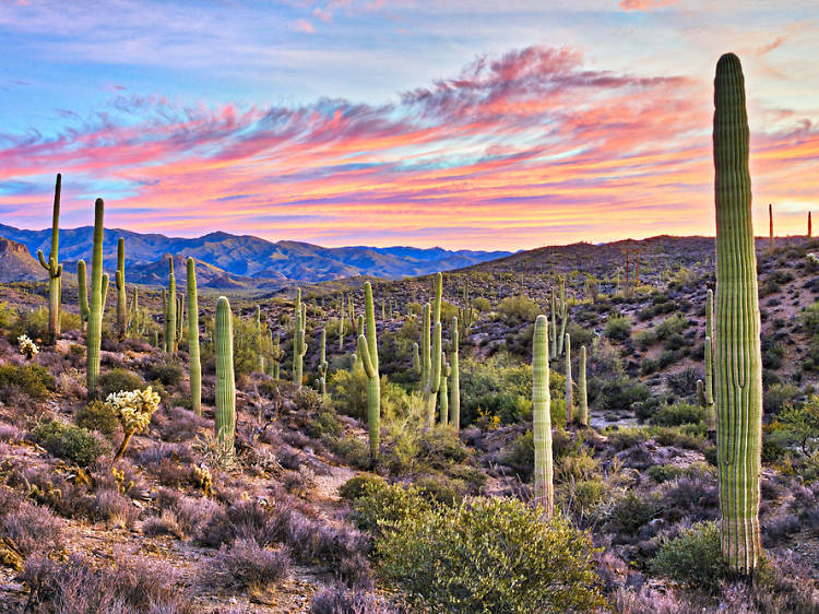 The 20 best things to do in Arizona The 20 best things to do in Arizona