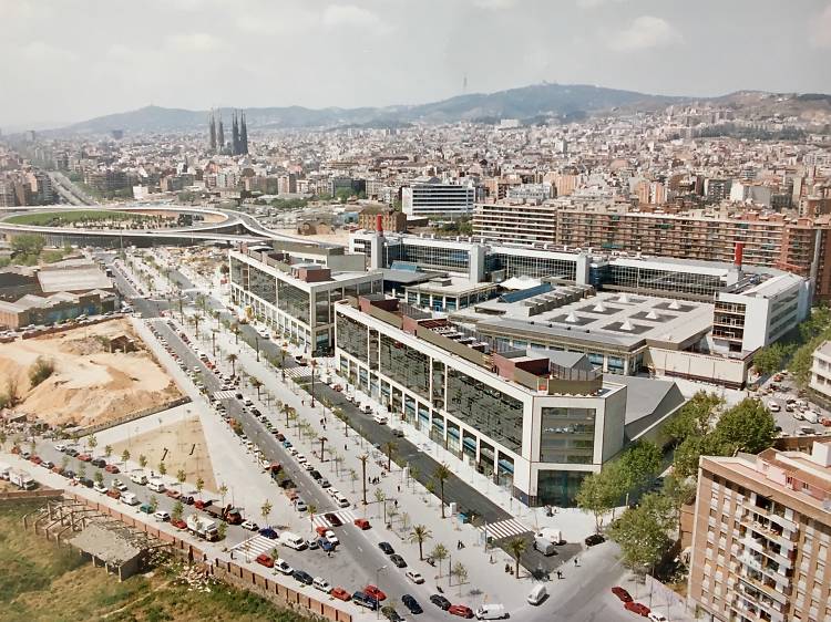 El proyecto olímpico