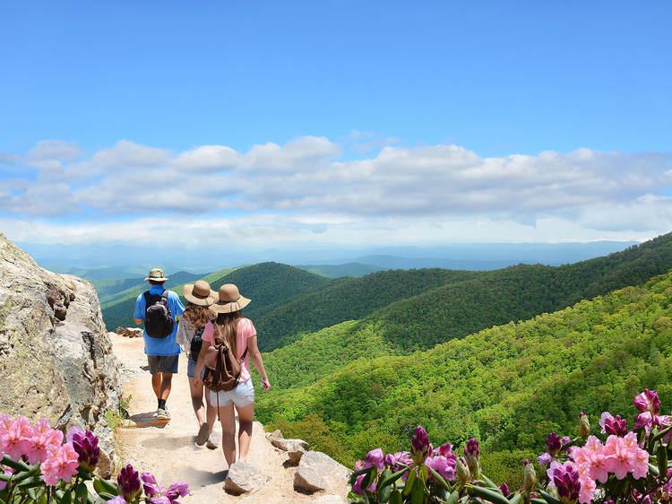 The 13 best things to do in Asheville