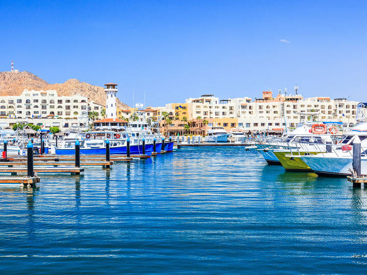 11 fun things to do in Cabo San Lucas