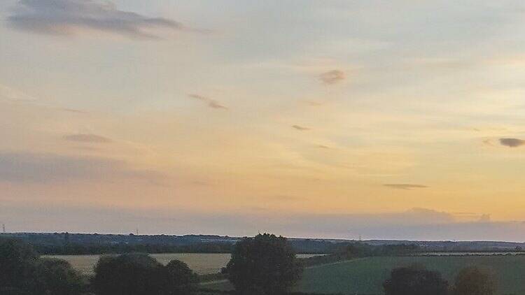 Nene Park