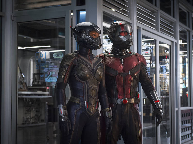 Ant-Man and the Wasp (2018)