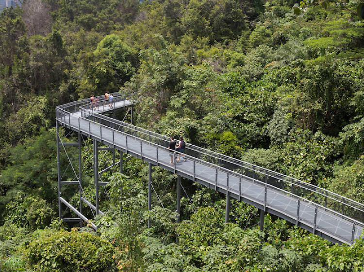The best hiking trails in Singapore