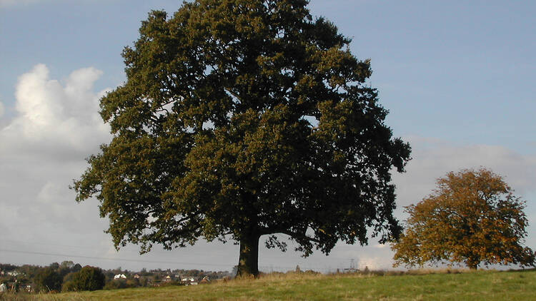 Farnham