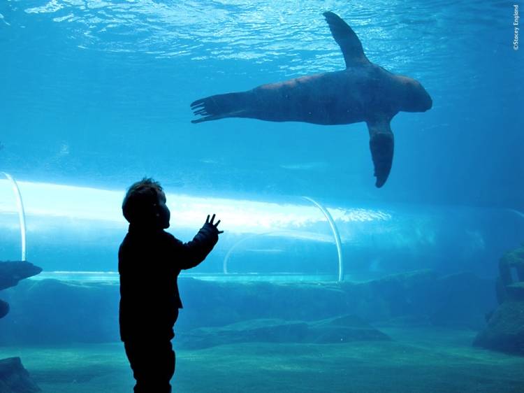 Colchester Zoo Colchester Zoo