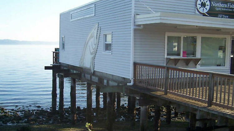 Northern Fish