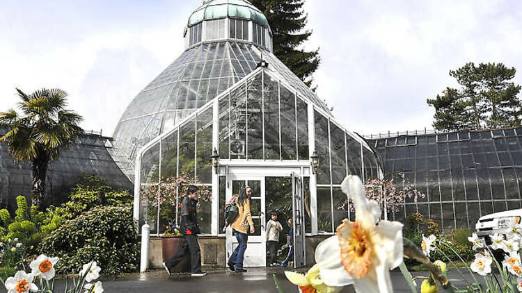 WW Seymour Botanical Conservatory