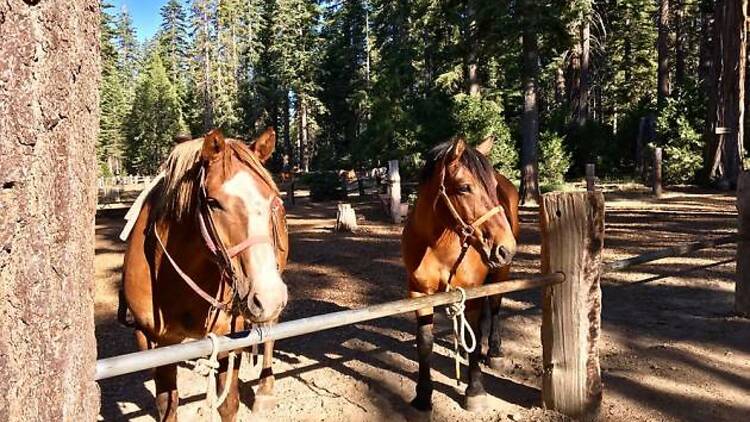 Camp Richardson Corral
