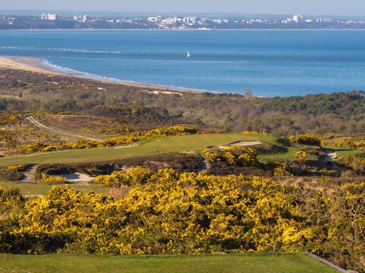 Isle of Purbeck