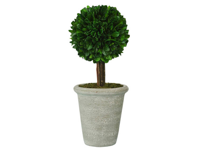 Gardener chic