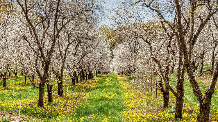 The 10 best things to do in Traverse City