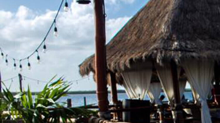 The best restaurants in Cancún