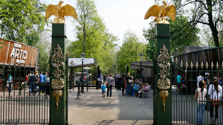 Zoológico de Artis