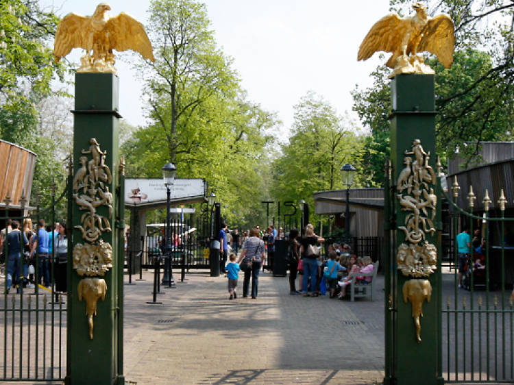 Zoológico de Artis