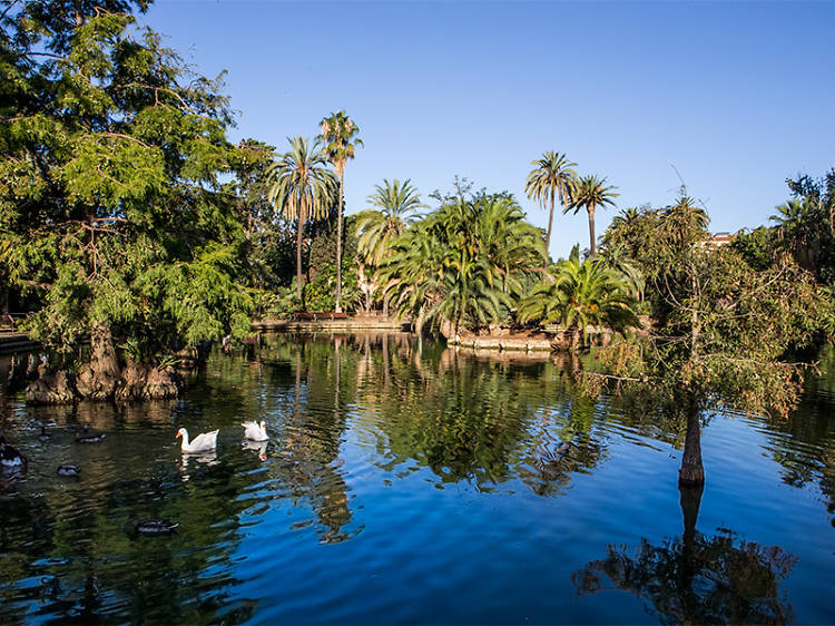 Hacer un pícnic en el Parque de la Ciutadella