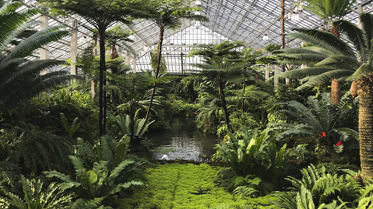 Garfield Park Conservatory