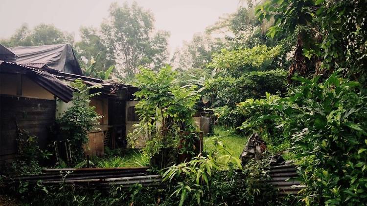 kampong lorong buangkok