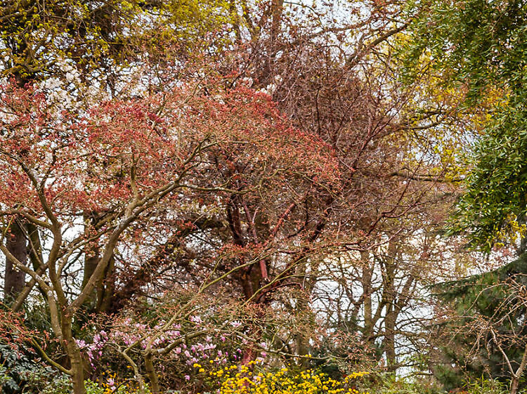 Hidden gardens