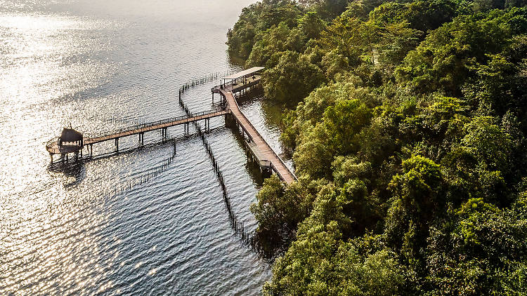 Be one with nature at Sungei Buloh Wetland Reserve