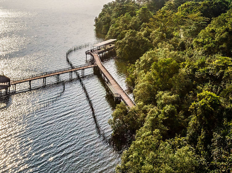 Be one with nature at Sungei Buloh Wetland Reserve