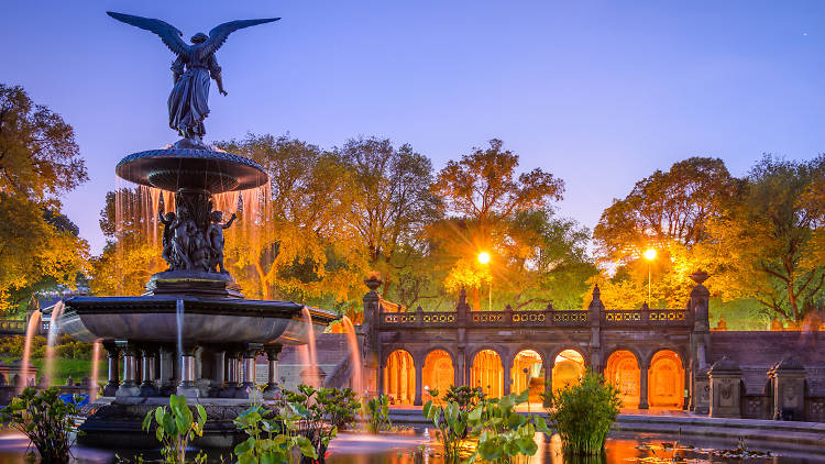 Explore Central Park like a pro