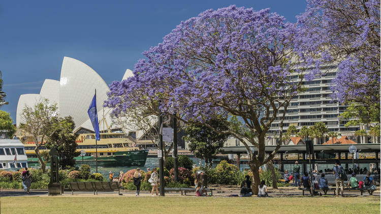 Sydney