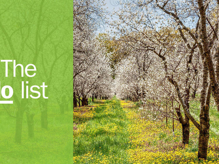 The 10 best things to do in Traverse City The 10 best things to do in Traverse City