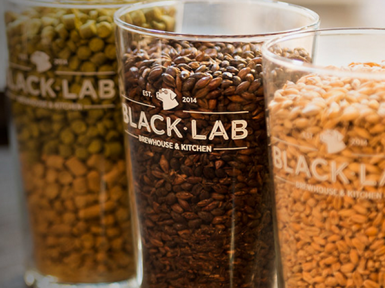 Una birra artesana en Black Lab Brewhouse
