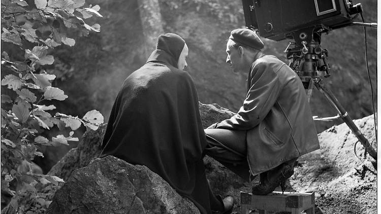 Bergman su gran año