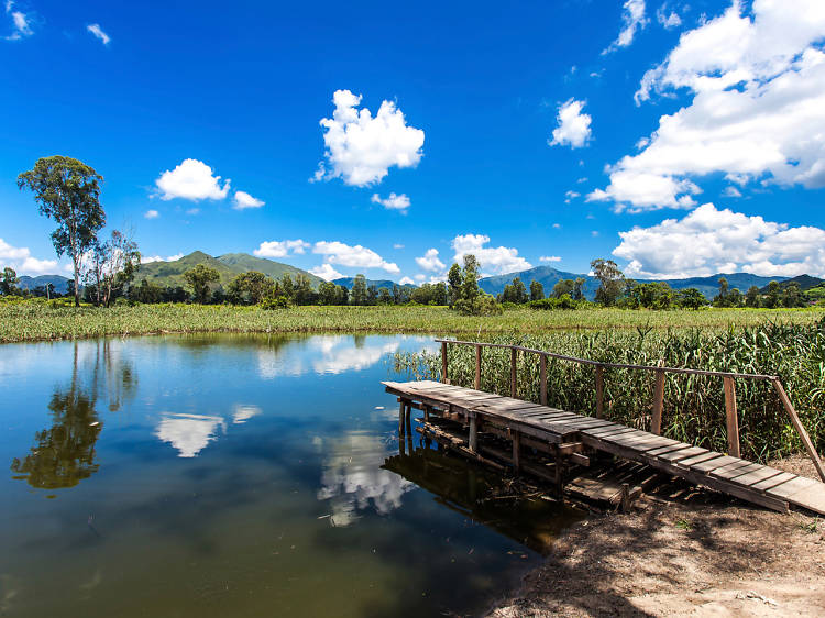 7 Hiking trails and walks for families in Hong Kong 7 Hiking trails and walks for families in Hong Kong