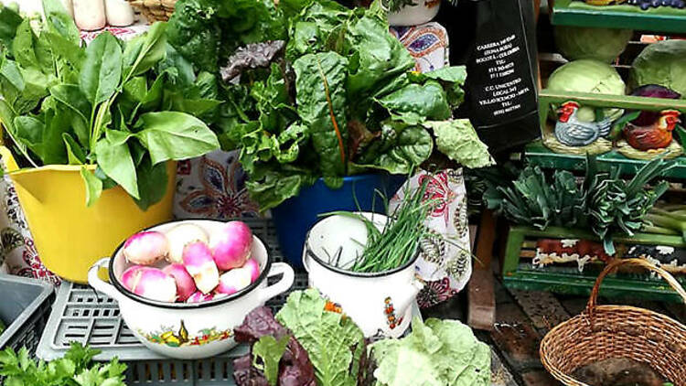 Chapinero Farmers’ Market