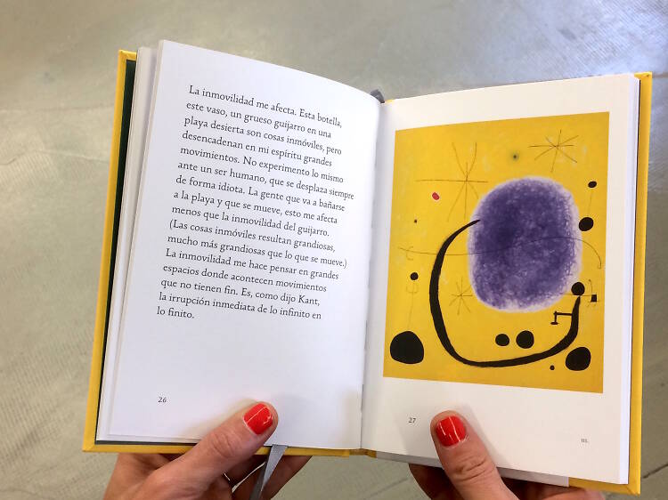 Llibres d'art