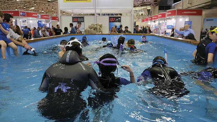 Mediterranean Diving Show