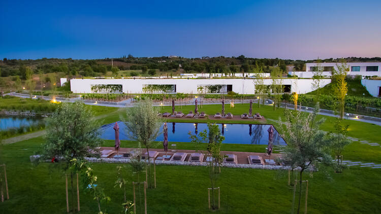 L'And Vineyards