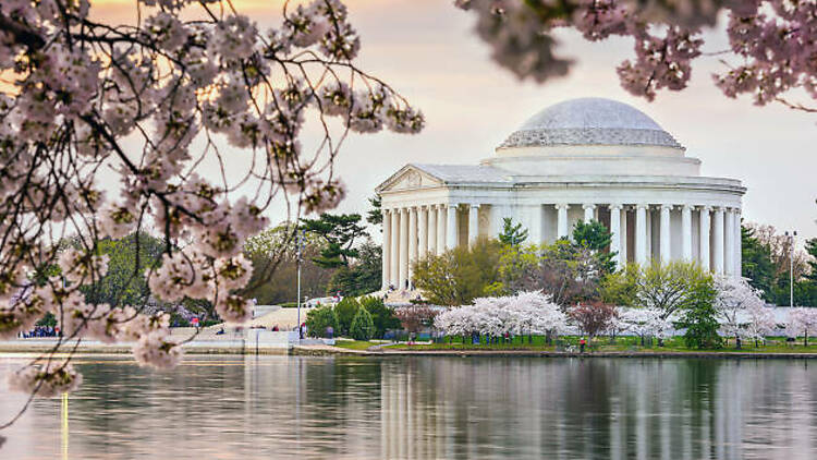 Washington DC