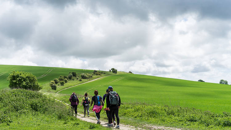 A South Downs ridge and Seaford Head