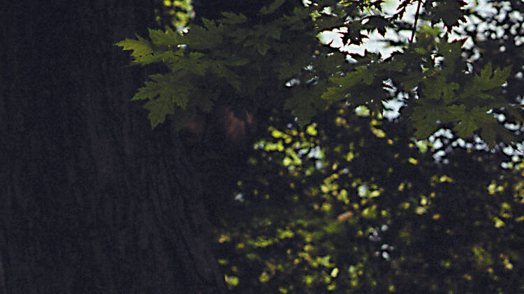Parc La Fontaine