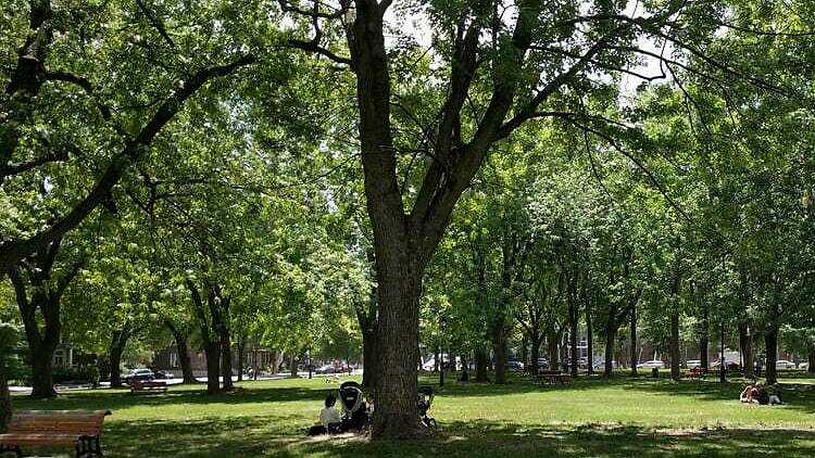 Parc Sir-Wilfrid-Laurier