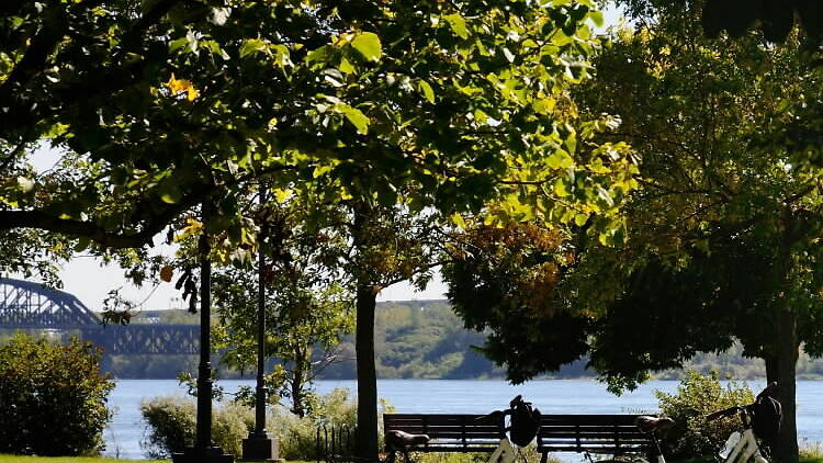 Parc Arthur-Therrien