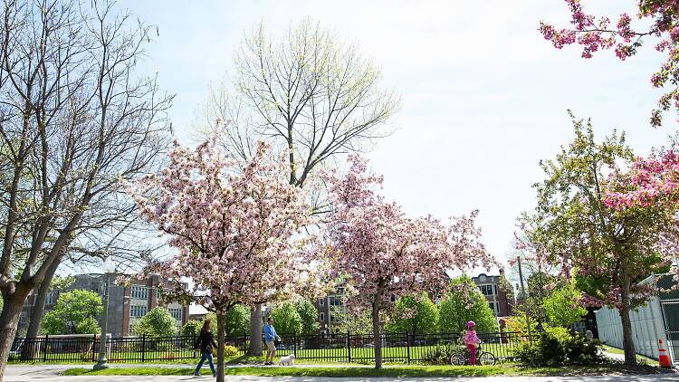 Parc Westmount