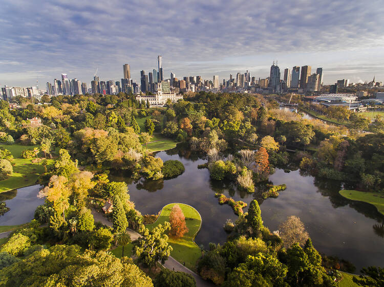Get back to nature in the Royal Botanic Gardens